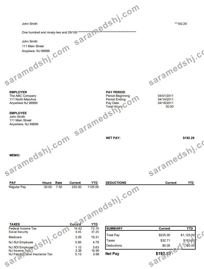 North Main Avenue Pay Stub Template